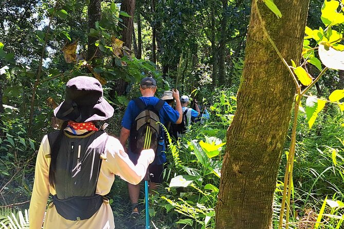 Full-Day Hike and Bike Tour from Chiang Mai - Afternoon biking in Mae Sa Valley: paved plus dirt, ending at an orchid farm