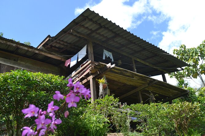 Full-Day Hike and Bike Tour from Chiang Mai - Price and value: what $75 buys you for an active day with transfers