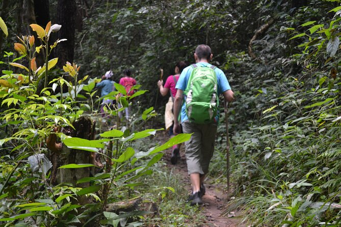 Full-Day Hike and Bike Tour from Chiang Mai - The morning hike: rice paddies, hill tribe villages, waterfalls, and rainforest bits