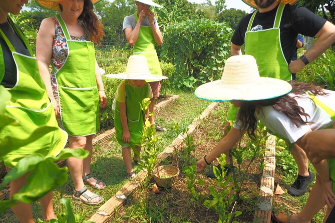 Full Day Thai Cooking at Farm (Chiang Mai) - Morning Pickup at 8:00 AM: How the Day Feels Organized