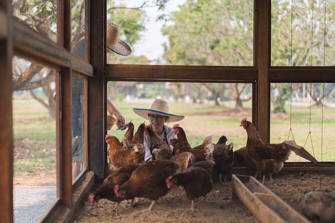 Full-Day Thai Cooking Class with Grandma - Market and Farm Tour - Should you book Grandma’s Home Cooking School with the market and farm tour?