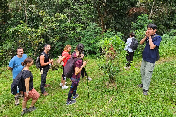 Full-Day Trekking and Sightseeing Tour in Mae Kampong - Group size, timing, and the “relaxed pace” promise