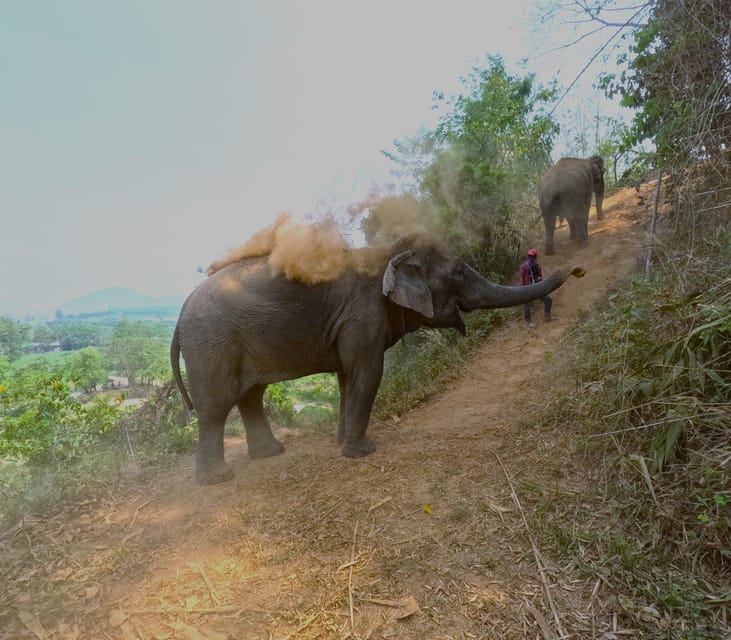Full-day with CHIANGMAI ELEPHANT CARE and Sticky waterfall - Elephant care in Chiang Mai that feels hands-on, not rushed