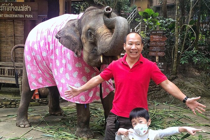 Half Day Car Hire with an English Speaking Driver in Chiang Mai - Money and Value: What the $99 Covers (and What It Doesn’t)
