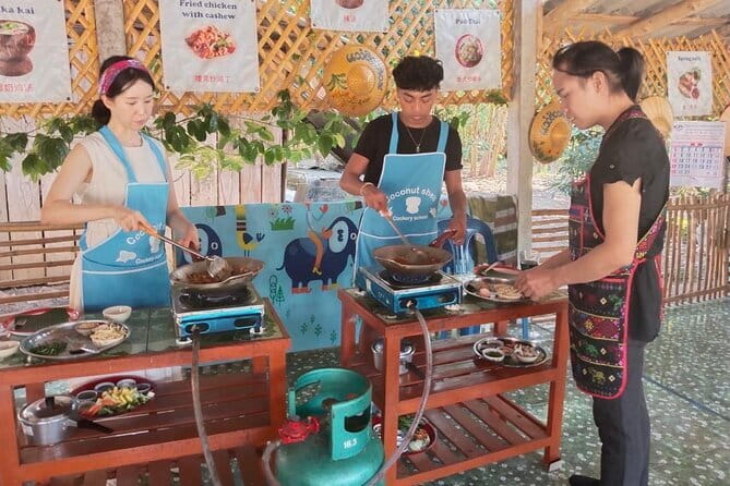 Half Day Chiang Mai Cooking Class and Market Taste Tour - Coconut Shell meeting point and your 3-hour rhythm in Chiang Mai