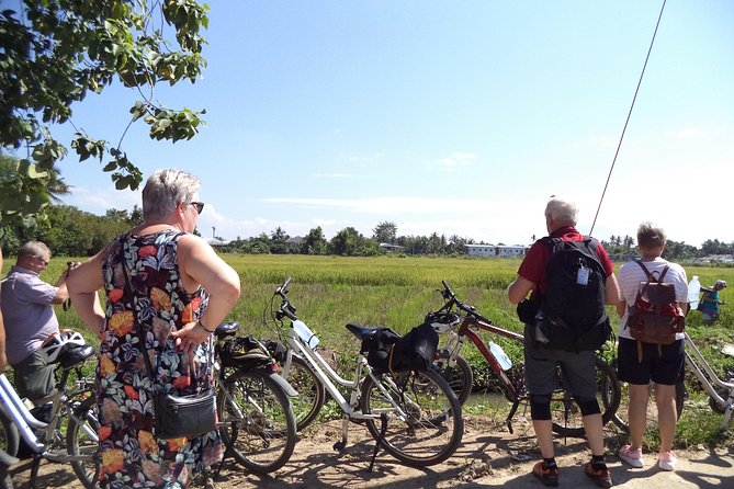 Half-Day Colors of Chiang Mai Biking Tour - The ride itself: pace, distance, and how the 4 hours actually feel