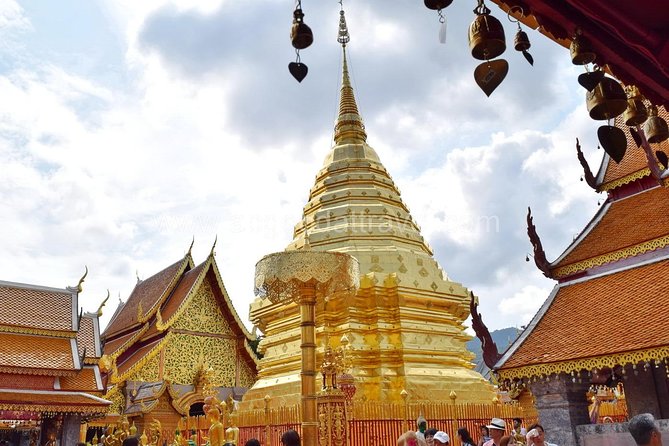 Half Day Doi Suthep Temple and Palad Temple (Private tour) - Your guide can shape the day (and it can go beyond the basics)