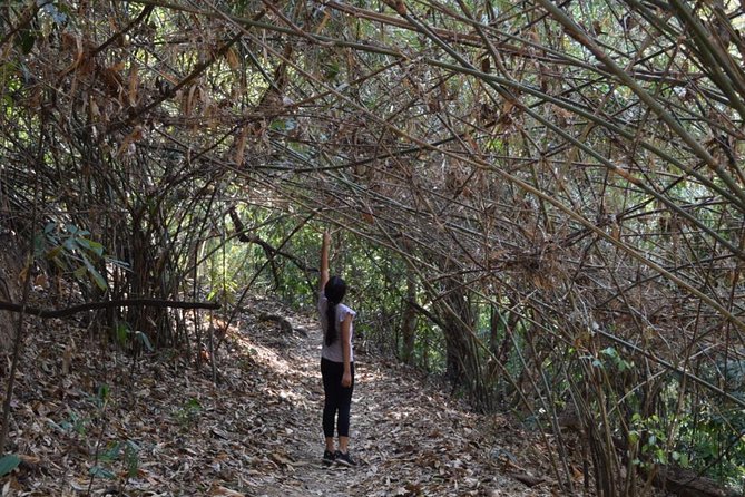 Half Day Doi Suthep Temple and short trekking on monk trail (Private Tour) - Monk Trail trekking down: short, scenic, and actually useful exercise