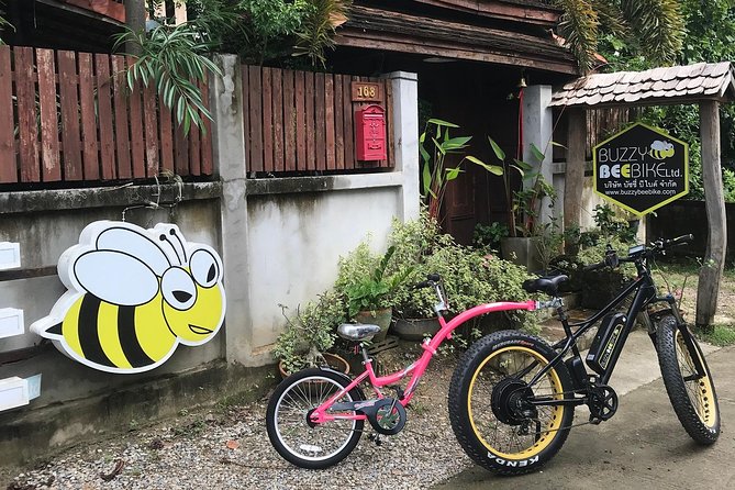 Half-day E-bike Countryside and rice paddies (flat land, GUIDED) - Why this half-day Chiang Mai e-bike tour is such a smart use of time