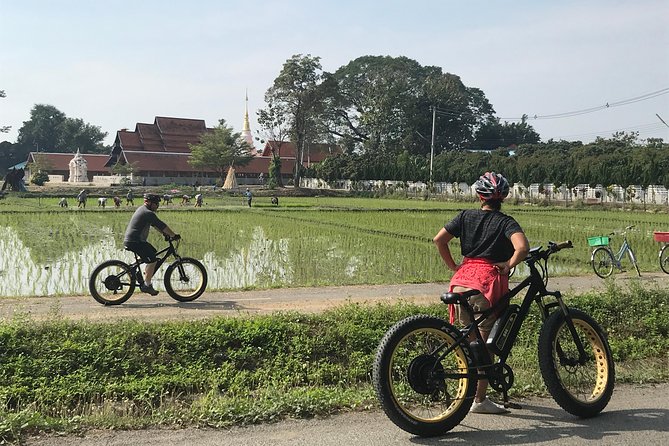 Half-day E-bike Countryside and rice paddies (flat land, GUIDED) - Cycling through the Ping River area: rice fields, orchards, and village life