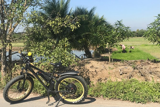 Half-day E-bike Countryside and rice paddies (flat land, GUIDED) - Hang Dong: the quieter stops that break the sightseeing rhythm