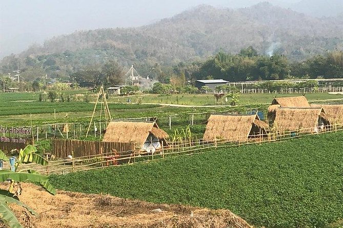 Half-day E-bike Nam Phrae (hilly, fully paved roads, GUIDED) - The paved-hills ride: what it feels like and how to prepare