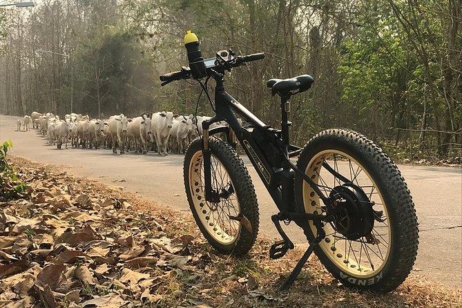 Half-day E-bike Nam Phrae (hilly, fully paved roads, GUIDED) - The rest of the route: orchards, views, and real village crossings