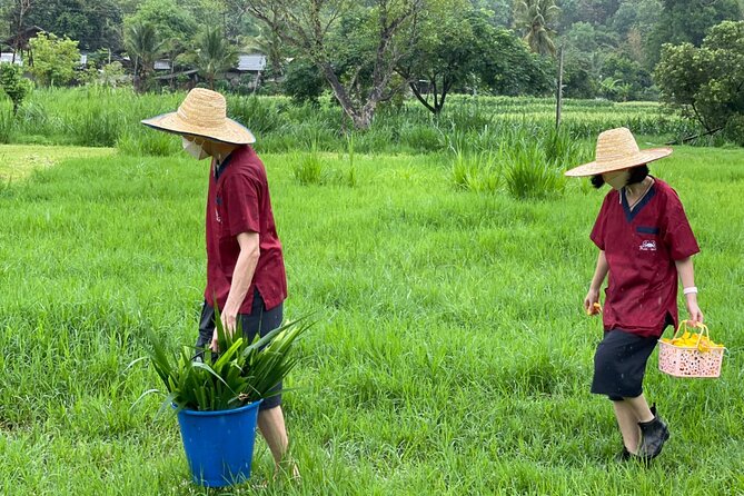 Half-Day Elephant Experience at Rantong - Lunch or dinner: Thai food, fruit, and a real reset
