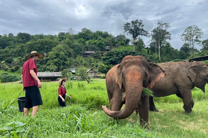 Half-Day Elephant Experience at Rantong - Karen clothing and the elephant school intro