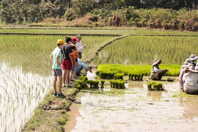 Half-Day Lanna Countryside Cycling Tour in Chiang Mai - Ride logistics that matter: pickup, meeting point, and group size