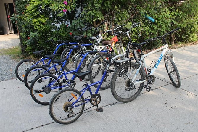 Half-Day Lanna Countryside Cycling Tour in Chiang Mai - What’s included (and what you’ll pay for): lunch, helmet, water, and extras