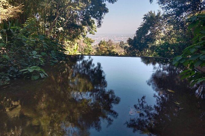Half Day Morning Wat Pha Lat & Wat Phra That Doi Suthep Tour - From Quiet Jungle Calm to Doi Suthep’s 306 Steps