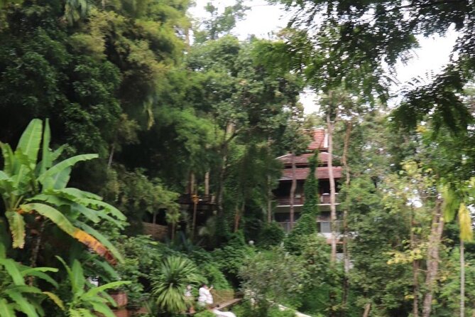 Half Day Morning Wat Pha Lat & Wat Phra That Doi Suthep Tour - Wat Pha Lat: Thai-Burmese Details in a Jungle Quiet Zone