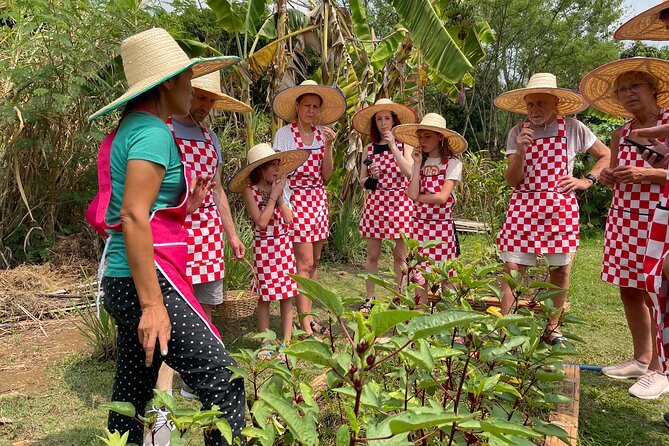 Half-Day Thai Cooking Class at Organic Farm in Chiang Mai - Key Highlights You Should Care About