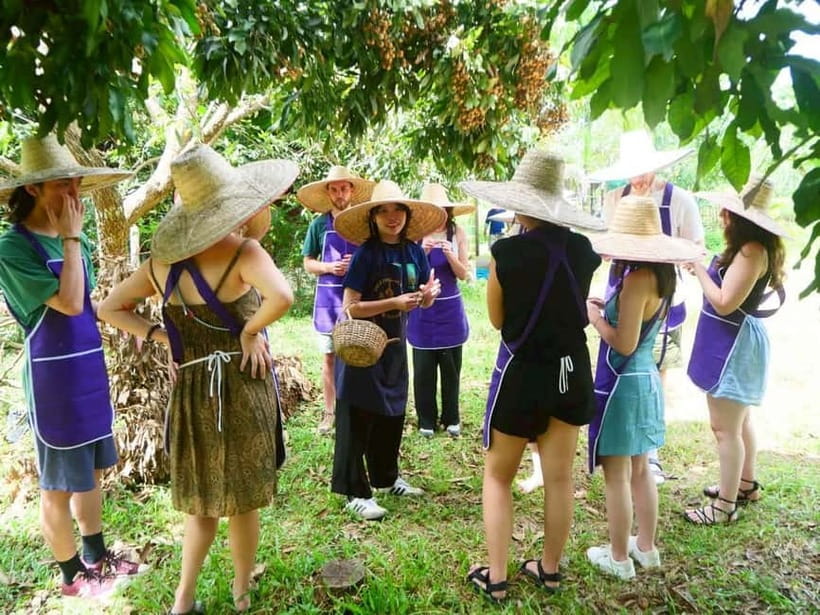 Half-Day Thai Cooking Class on a Local Farm Near Chiang Mai - Why this farm-based Thai cooking class feels different near Chiang Mai