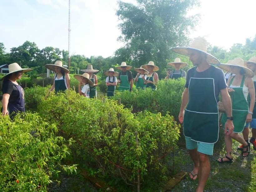 Half-Day Thai Cooking Class on a Local Farm Near Chiang Mai - Organic farm walk and herb garden lessons