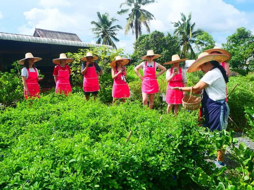 Half-Day Thai Cooking Class on a Local Farm Near Chiang Mai - Fruit picking: mangoes and longans when in season