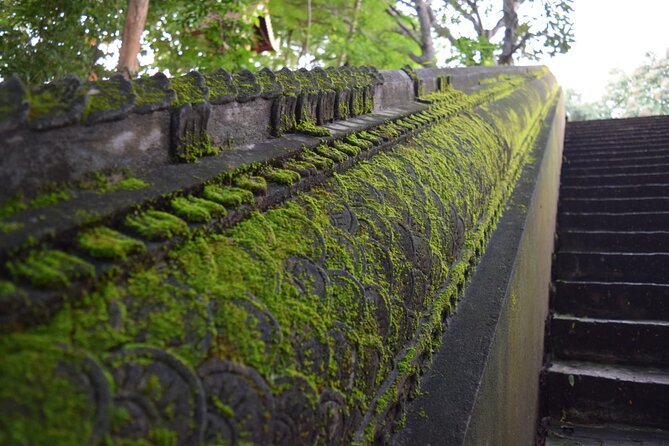 Half Day tour Suan Dok Temple, Umong temple & Doi Suthep Temple - Should You Book This Suan Dok, Umong, and Doi Suthep Tour?