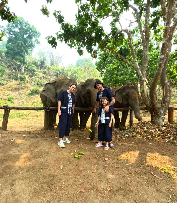 Half-day with CHIANGMAI ELEPHANT CARE program (12pm-6pm.) - A noon start that still feels like a full elephant day
