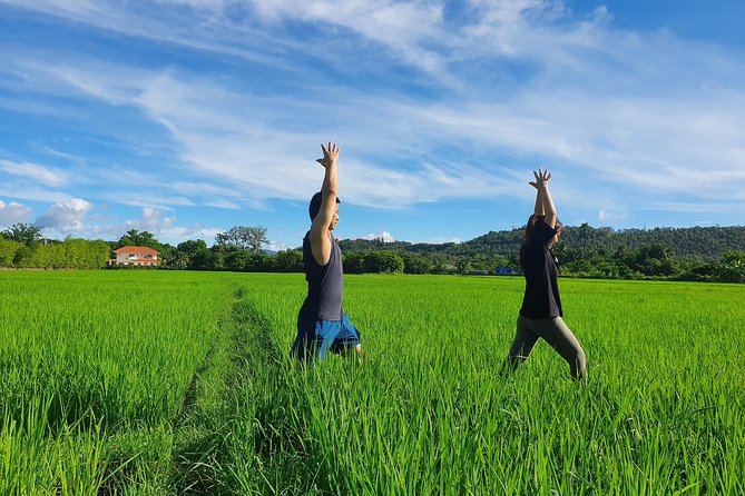 Half-Day Yoga, Meditation, and Thai Cultural Immersion in Chiang Mai - Key highlights you’ll actually feel