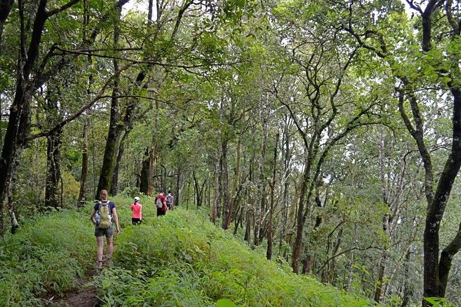 High Mountain Day Trek - Key Highlights I’d Focus On