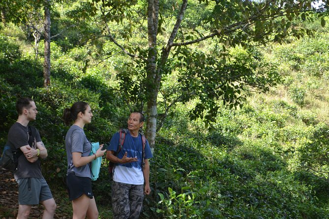 High Mountain Day Trek - Village Stop for Tea and Coffee at Mountain Homes