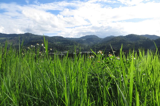 High Mountain Day Trek - Lunch at a Rustic Homestay: What You Get and How It Works