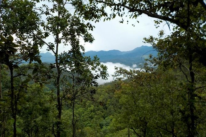 High Mountain Day Trek - Terrain Reality Check: Shoes, Pace, and Weather Changes