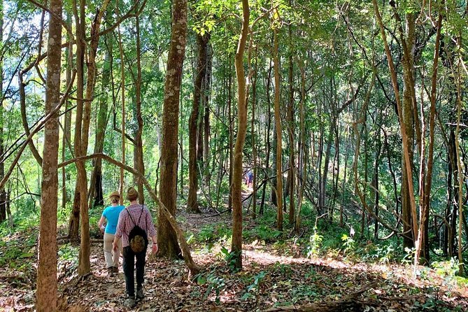 High Mountain Day Trek - Who This Trek Fits Best (and Who Might Want a Different Day)