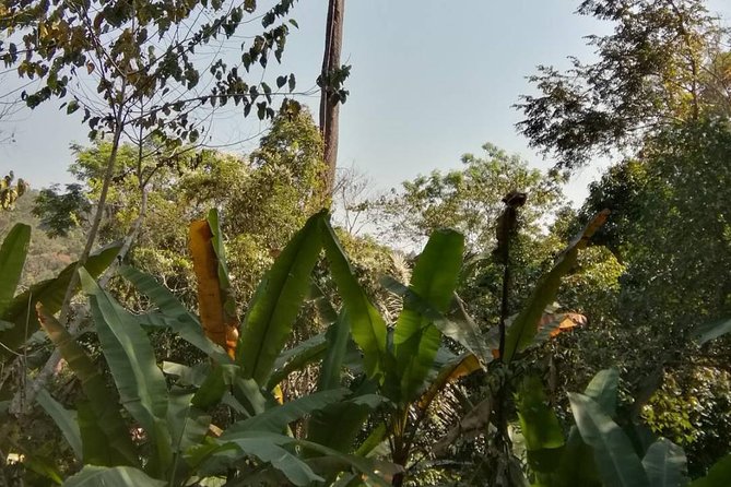 Hiking and Zipline Private Tour from Chiang Mai +Karen Village - Private Guide Power: Eak Zaa and Ek Make the Day Feel Personal