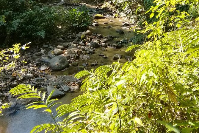 Hiking and Zipline Private Tour from Chiang Mai +Karen Village - The Full-Day Rhythm: How the 9 Hours Typically Feel