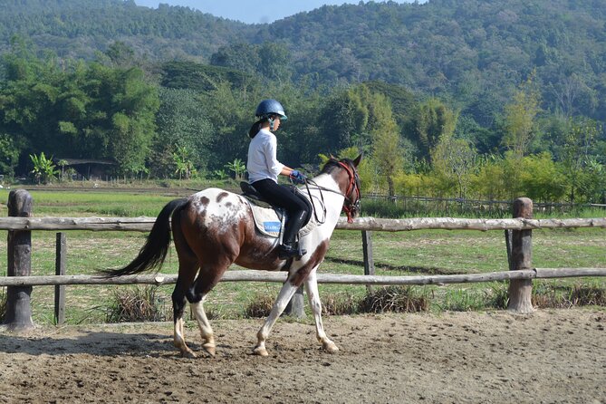 Horse Lesson+Riding+Wat Tonkwen wooden temple.Chiangmai - Quick hits you’ll care about