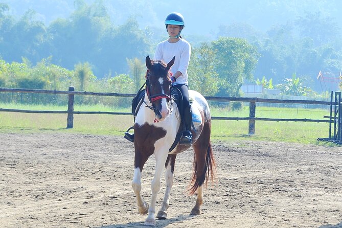 Horse Lesson+Riding+Wat Tonkwen wooden temple.Chiangmai - Making the most of the day (without overthinking it)