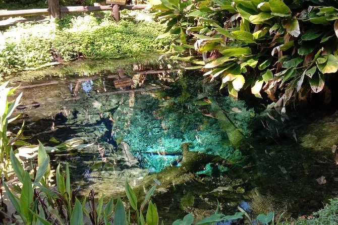 Hot! Doisuthep Temple+Wat Palad+Sticky waterfall - Price and What You Actually Get for $83.47