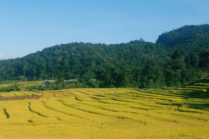 Inthanon Day Trip from Chiang Mai with Lunch - Group or Private - Stop-by-stop: what happens from 8:00 am to late afternoon