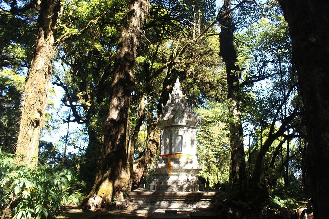 Inthanon Day Trip from Chiang Mai with Lunch - Group or Private - The guide makes the day: Aom, Bee, Tui, Ekk, and more