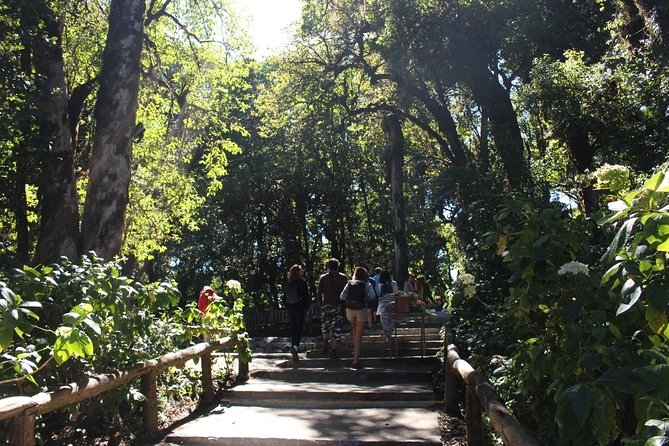 Inthanon Day Trip from Chiang Mai with Lunch - Group or Private - Price and value: what you actually get for $81.53