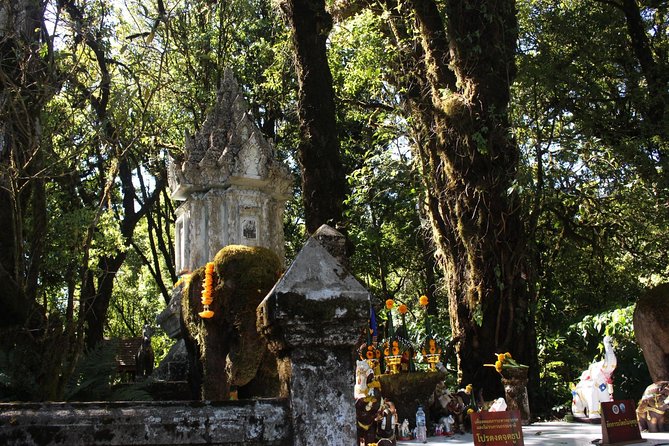 Inthanon Day Trip from Chiang Mai with Lunch - Group or Private - Weather reality check: how to plan for fog, rain, and cold