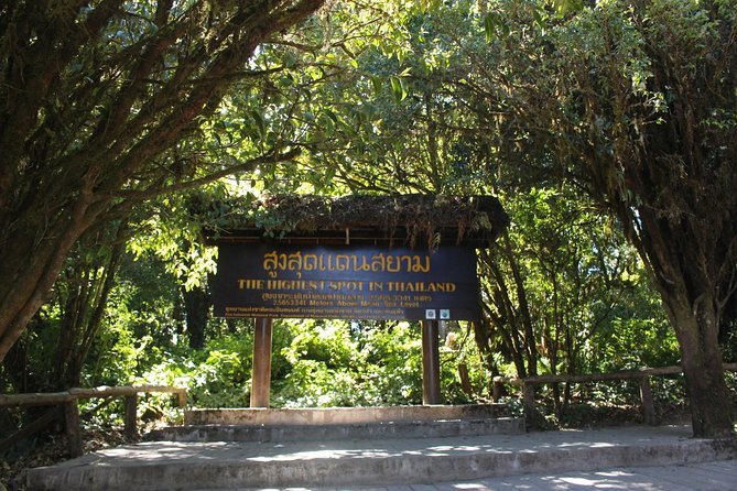 Inthanon Day Trip from Chiang Mai with Lunch - Group or Private - Comfort and logistics: group size, transport, and the pace