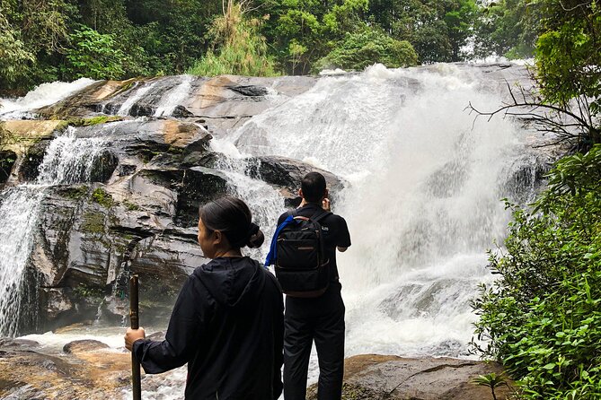 Inthanon National Park Tour with Soft Hike at Pha Dok Siew Trail - Doi Inthanon, Ang Ka Nature Trail, and the royal pagodas