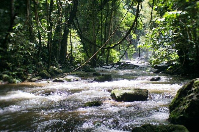 Inthanon National Park Tour with Soft Hike at Pha Dok Siew Trail - Pha Dok Siew Natural Trail: the “soft hike” that teaches you to look