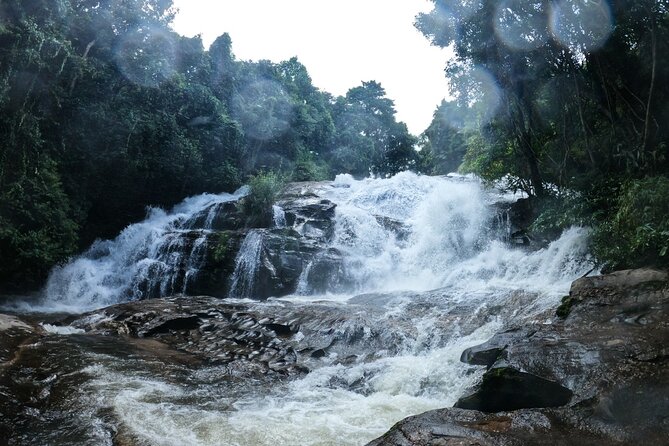 Inthanon National Park Tour with Soft Hike at Pha Dok Siew Trail - Ban Mae Klang Luang Karen village and coffee to end the day