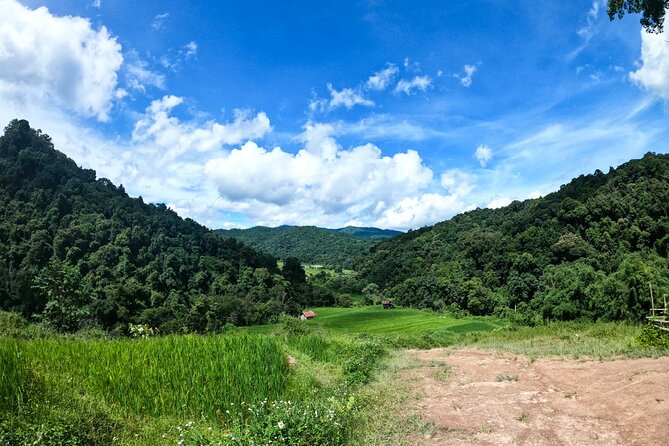 Inthanon National Park Tour with Soft Hike at Pha Dok Siew Trail - Price and value: what $107.42 really buys you