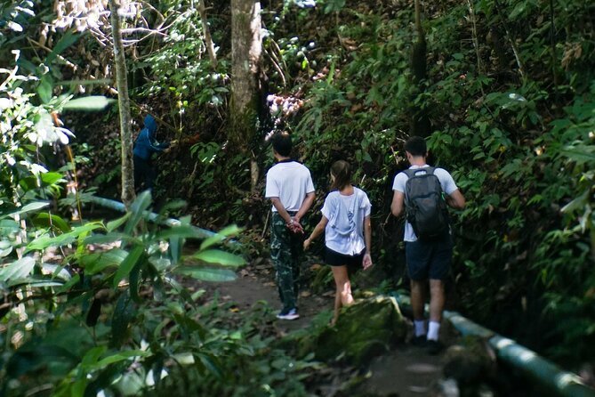Inthanon National Park Tour with Soft Hike at Pha Dok Siew Trail - Guide quality and organization: the human part that changes everything